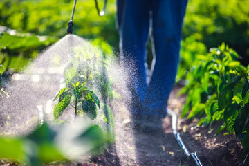 Test Confirms Culligan ZeroWater Jugs are the Market Leaders for Glyphosate Water Filters 