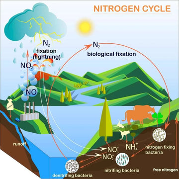 Nitrates in Your Water supply, the Health Risks - How can You Protect Yourself?