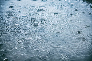 Rain Water Falling In a Puddle