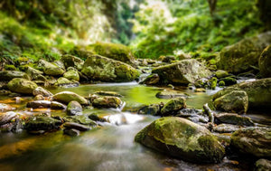 Water in a stream